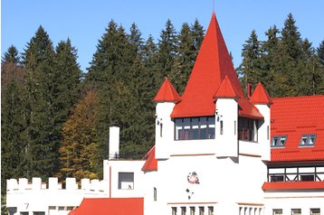 Hôtel Poiana Braşov 3